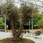 Hotel Lea Experimental *