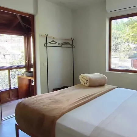 Hotel Lea Experimental *