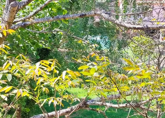 Lea Experimental Ξενοδοχείο *