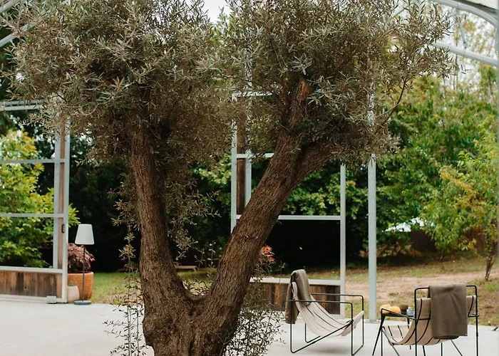 Ξενοδοχείο Lea Experimental *