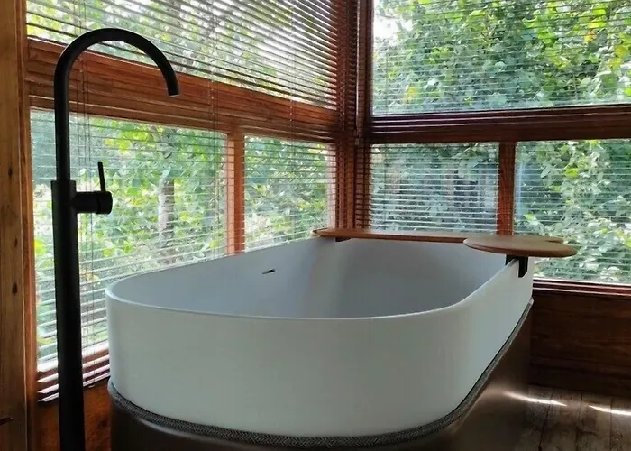 Lea Experimental Ποντεβέντρα